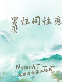 男性同性恋叫什么