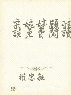 宋婉婷顾淮琛小说免费阅读最新章节