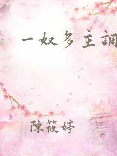 一奴多主调教