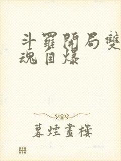 斗罗开局双生武魂自爆