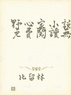 野心家小说全文免费阅读无弹窗