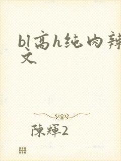 bl高h纯肉辣文