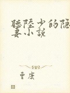 听陆少的隐婚罪妻小说