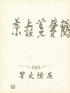 惹上首席总裁2小说免费阅读全文