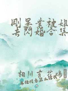 刚毕业被姐姐拉去闪婚合集