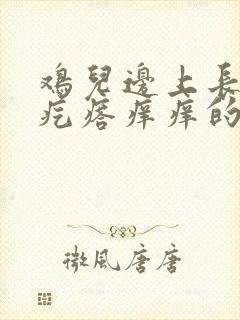 鸡儿边上长红色疙瘩痒痒的