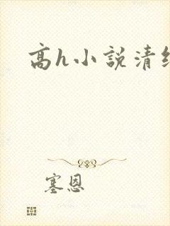 高h小说清纯