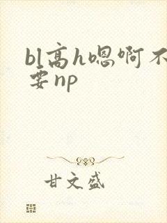 bl高h嗯啊不要np