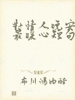 对情人晚安情话最暖心短句