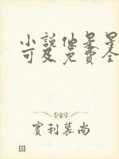 小说他是星河不可及免费全本阅读