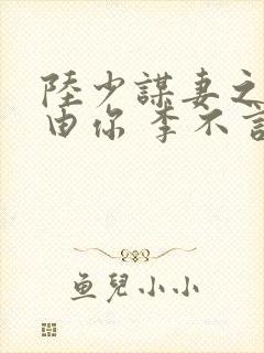 陆少谋妻之婚不由你 李不言