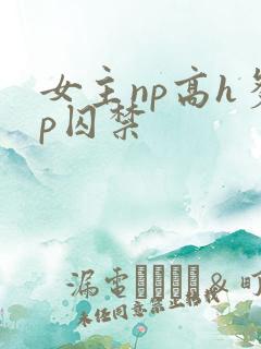 女主np高h多p囚禁