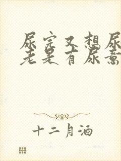 尿完又想尿下面老是有尿意吃什么药