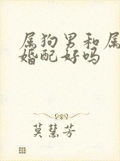 属狗男和属虎女婚配好吗