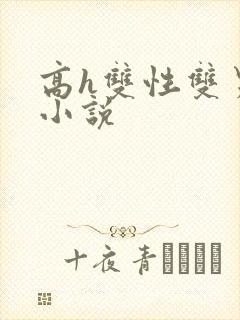 高h双性双男主小说