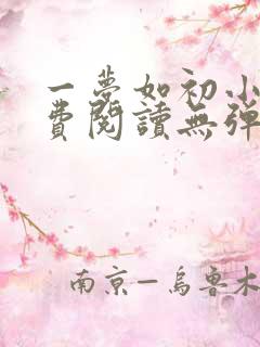 一梦如初小说免费阅读无弹窗