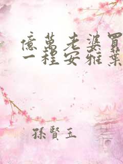 亿万老婆买一送一程安雅叶琛