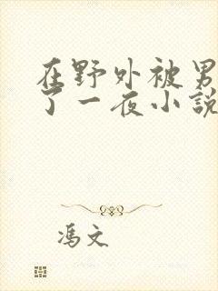 在野外被男人躁了一夜小说