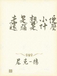 老是想小便而且还痛是什么原因