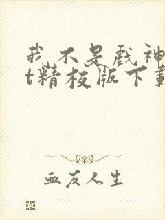 我不是戏神txt精校版下载