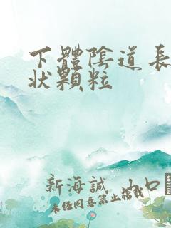 下体阴道长乳头状颗粒