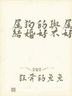 属狗的与属狗的结婚好不好