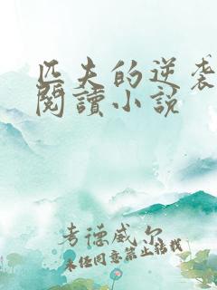 匹夫的逆袭免费阅读小说