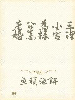 老公为小三要离婚怎样处理