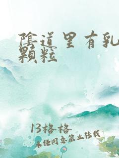 阴道里有乳头状颗粒