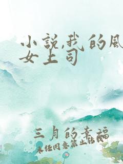 小说,我的风情女上司