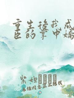 重生后我成了权臣的掌中娇 全文