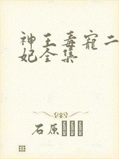 神王毒宠二嫁王妃全集