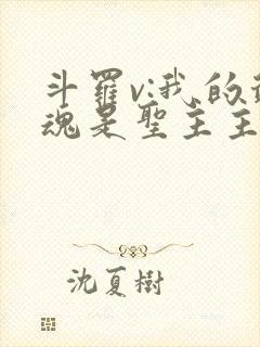 斗罗v:我的武魂是圣主主角