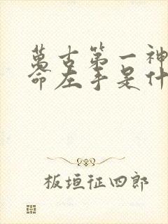 万古第一神李天命左手是什么