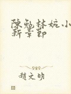 陈勉林婉小说最新章节