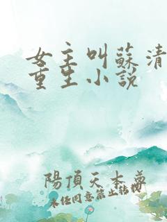 女主叫苏清荷的重生小说