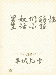男奴们的性调教生活小说