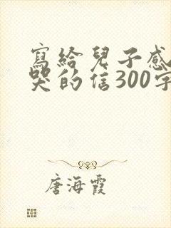 写给儿子感动到哭的信300字