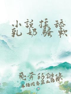 小说 揉 舔 乳 奶 骚 软