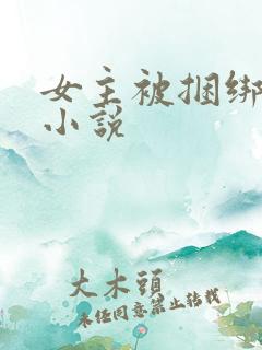 女主被捆绑调教小说