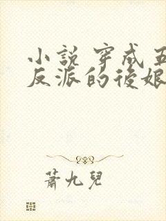 小说 穿成五个反派的后娘