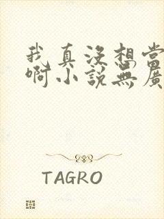 我真没想当皇帝啊小说无广告