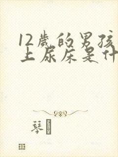 12岁的男孩晚上尿床是什么原因呢?