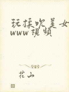 玩揉吮美女胸的www视频