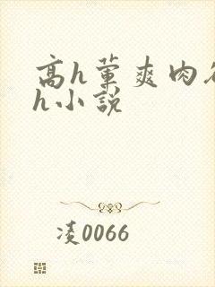 高h荤爽肉欲文h小说