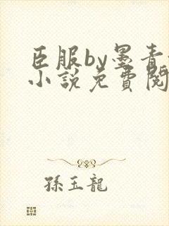 臣服by墨青城小说免费阅读全文在线阅笔趣