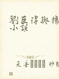 刘巨得与杨贵莲小说