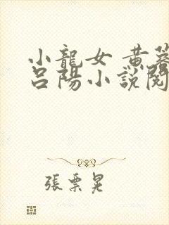 小龙女 黄蓉 吕阳小说阅读