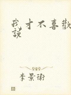 我才不喜欢你小说