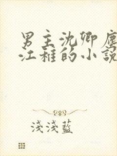 男主沈卿尘女主江稚的小说